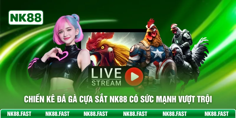 Đá Gà Cựa Sắt NK88 – Cuộc Chiến Cạnh Tranh Đầy Căng Thẳng Chiến kê đá gà cựa sắt NK88 có sức mạnh vượt trội